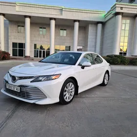 Toyota Camry 2019