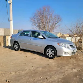 Toyota Corolla 2010