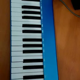 MIDI KLAWIS ARASSA 49KEYS