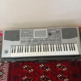 KORG PA 900