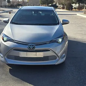 Toyota Corolla 2019