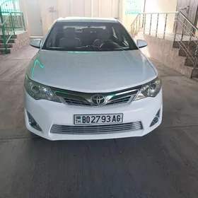 Toyota Camry 2013