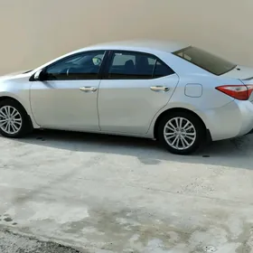 Toyota Corolla 2014