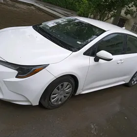 Toyota Corolla 2020