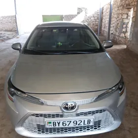 Toyota Corolla 2019