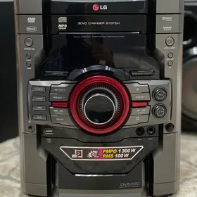 LG DM5330