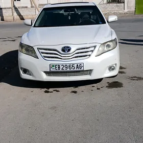 Toyota Camry 2010