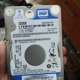 Žoski 320gb