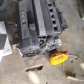 BMW M54 E85 MOTOR