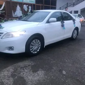 Toyota Camry 2010