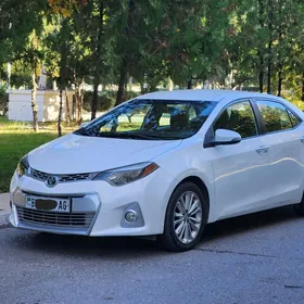 Toyota Corolla 2014