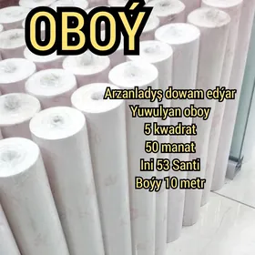 Oboý  Oboylar