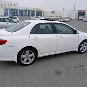 Toyota Corolla 2010