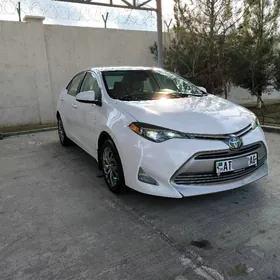 Toyota Corolla 2018