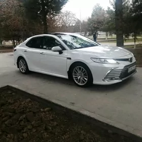 Toyota Camry 2019