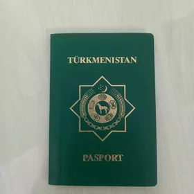 pasport yitdi