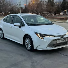 Toyota Corolla 2020