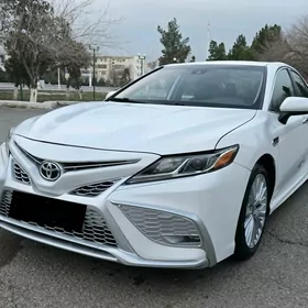 Toyota Camry 2020