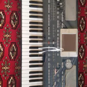 Korg pa 800