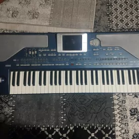 Korg pa800