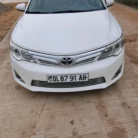 Toyota Camry 2013