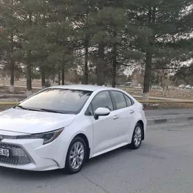 Toyota Corolla 2020