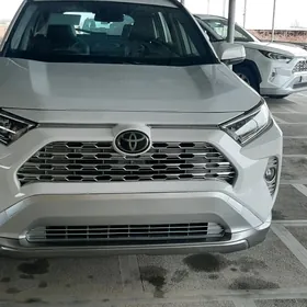 Toyota RAV4 2019