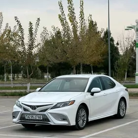 Toyota Camry 2020