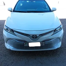 Toyota Camry 2019