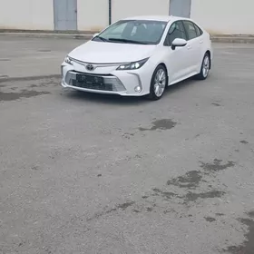 Toyota Corolla 2020