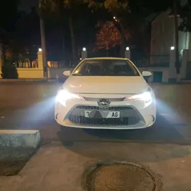 Toyota Corolla 2019