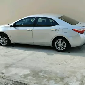 Toyota Corolla 2014