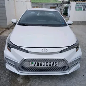 Toyota Corolla 2021