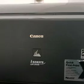 принтер Canon 2900