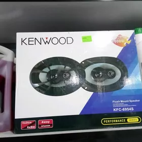 Kenwood1000