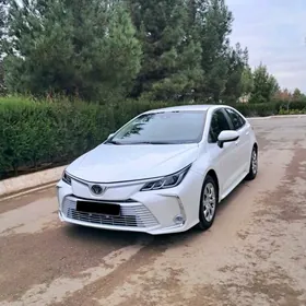 Toyota Corolla 2021