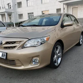 Toyota Corolla 2011