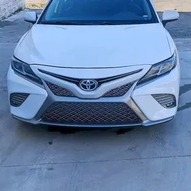 Toyota Camry 2019