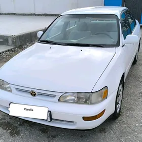 Toyota Corolla 1996