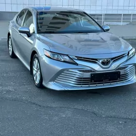 Toyota Camry 2020