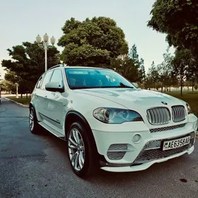 BMW X5 2010