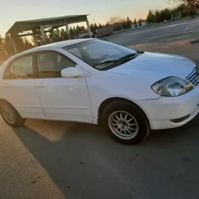 Toyota Corolla 2004