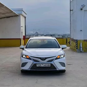 Toyota Camry 2019