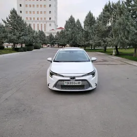 Toyota Corolla 2019