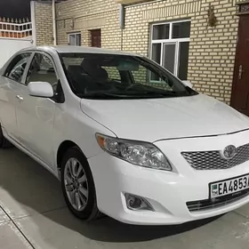 Toyota Corolla 2010