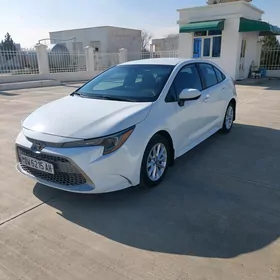 Toyota Corolla 2019