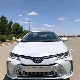 Toyota Corolla 2023