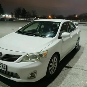 Toyota Corolla 2010