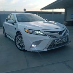 Toyota Camry 2019