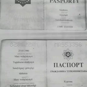 Pasport